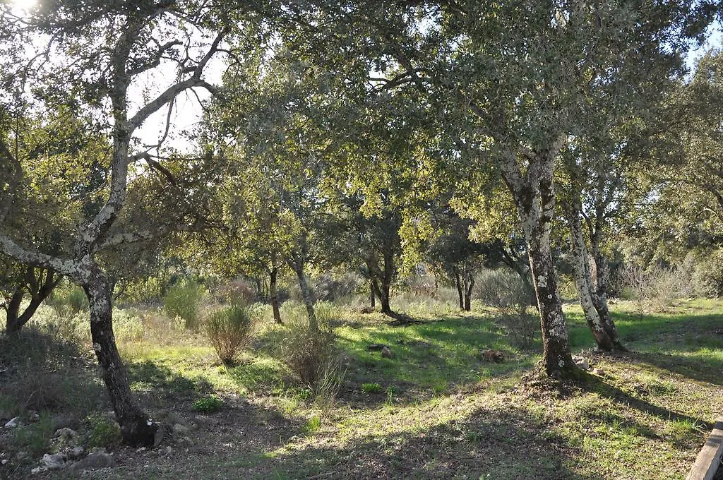 Villa 342 M2 Classee 4 Etoiles Sur 1 Ha - Provence Besse-sur-Issole